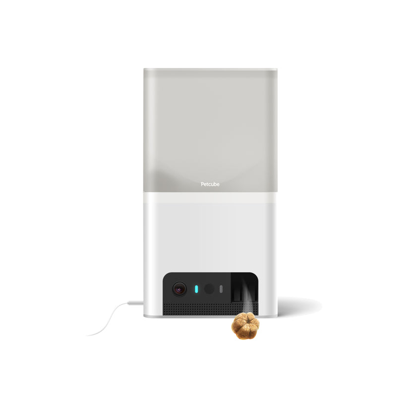 Monitor domácích mazlíčků Petcube Bites 2 Lite - bonami.click