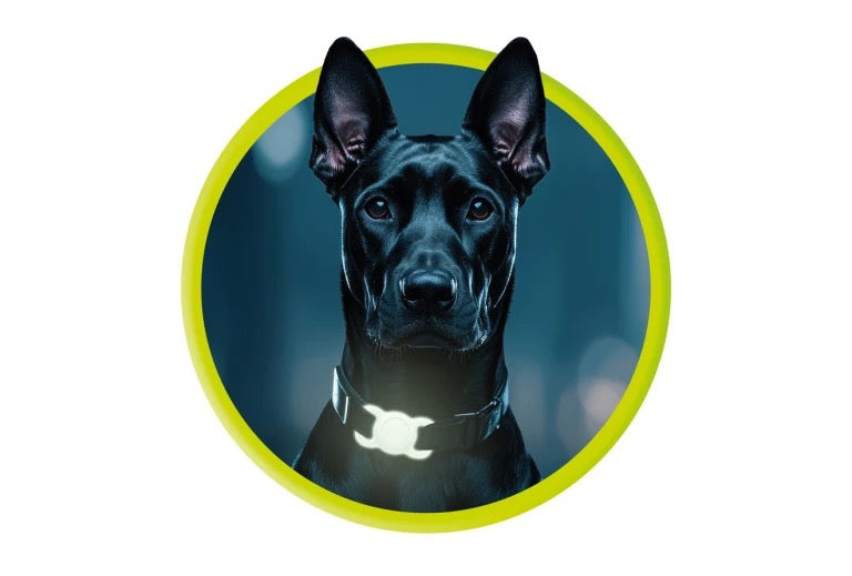 Obojek pro mazlíčky s držákem na AirTag Mobile Origin - svítící zelená - bonami.click