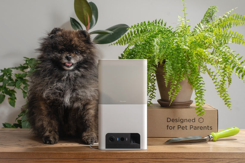 Monitor domácích mazlíčků Petcube Bites 2 Lite - bonami.click
