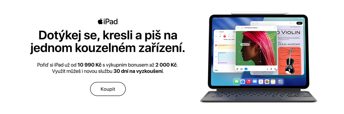 iPad