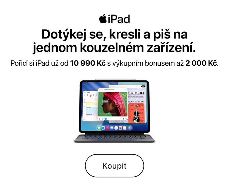 iPad