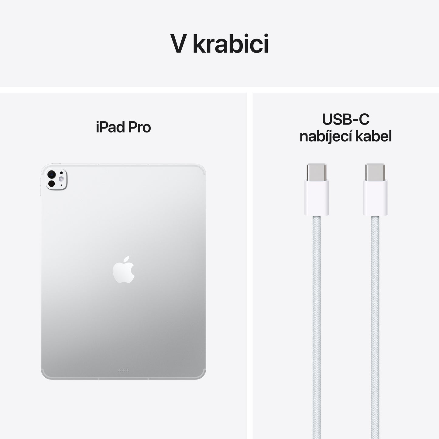 13palcový iPad Pro Wi-Fi + Cellular 256GB se standardním sklem - stříbrný