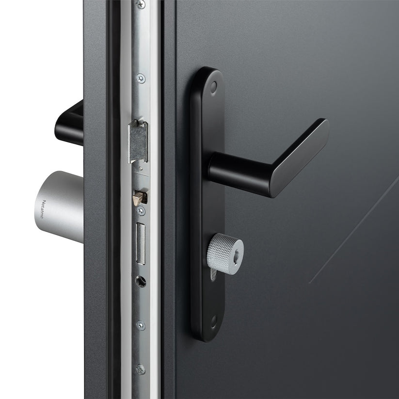 Smart zámek a klíče Netatmo Doorlock - bonami.click