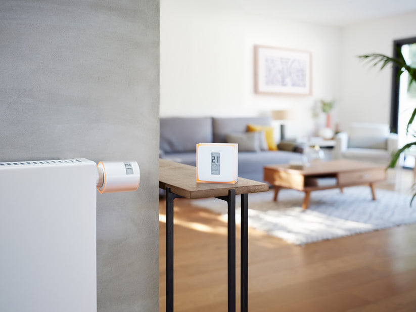 Chytrý termostat Netatmo - bonami.click