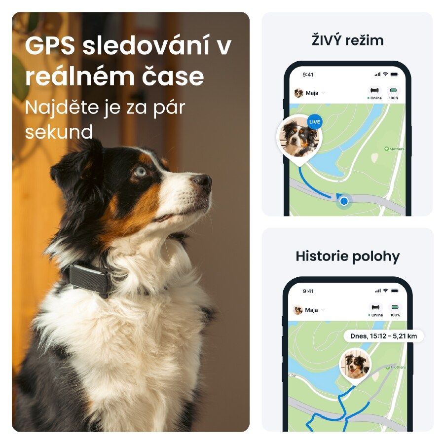 GPS tracker pro psy Tractive DOG 6 s monitoringem zdraví a štěkání