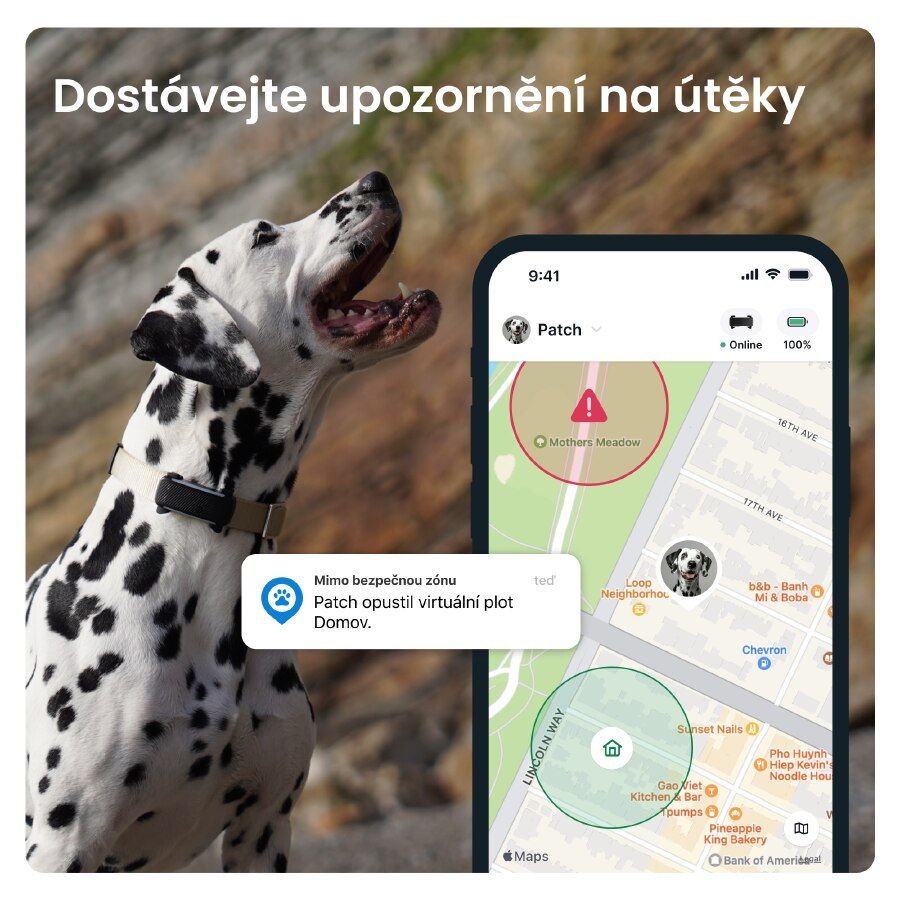 GPS tracker pro psy Tractive DOG 6 s monitoringem zdraví a štěkání