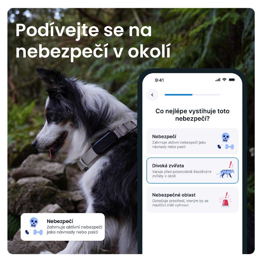 GPS tracker pro psy Tractive DOG 6 s monitoringem zdraví a štěkání